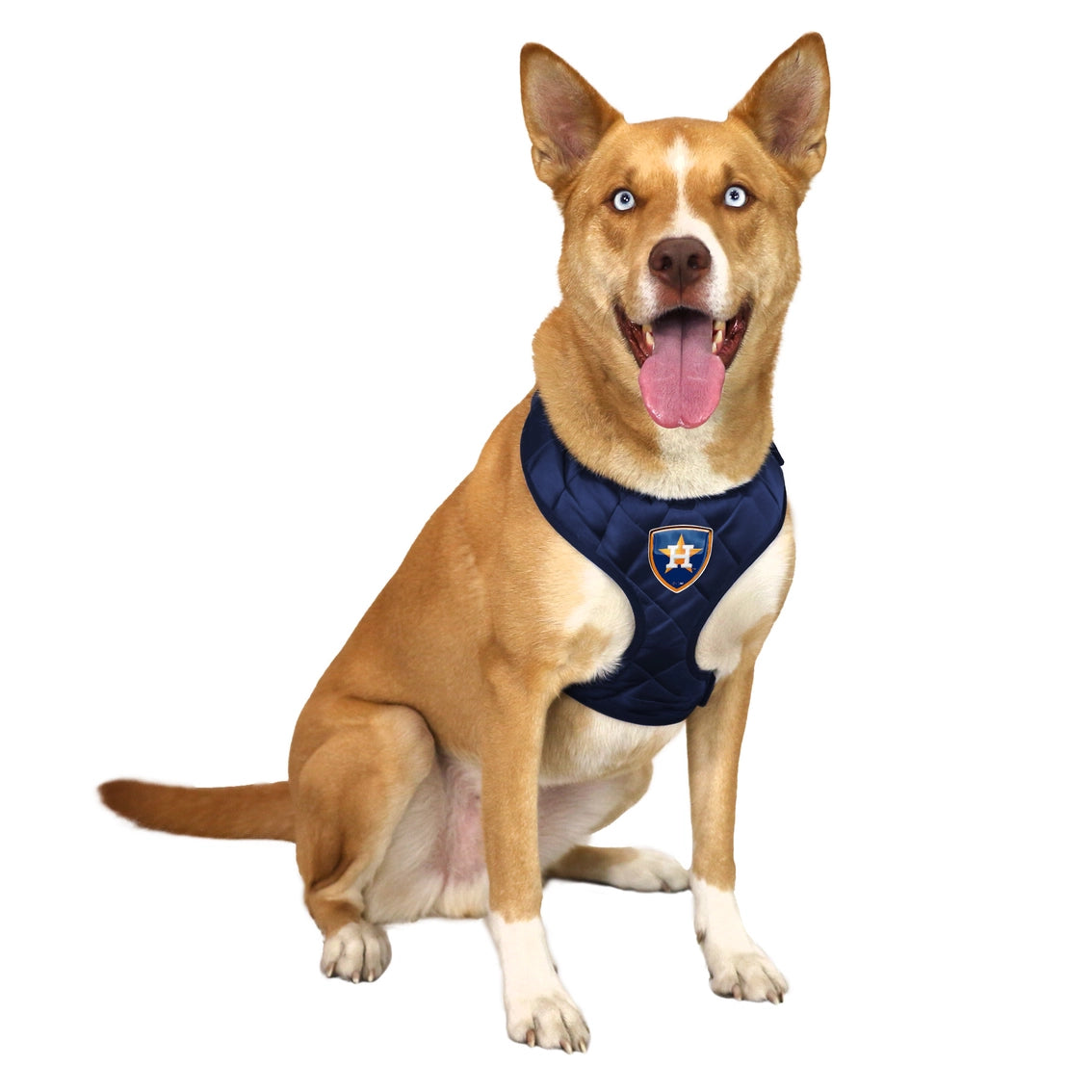 Houston Astros Velvet Harness