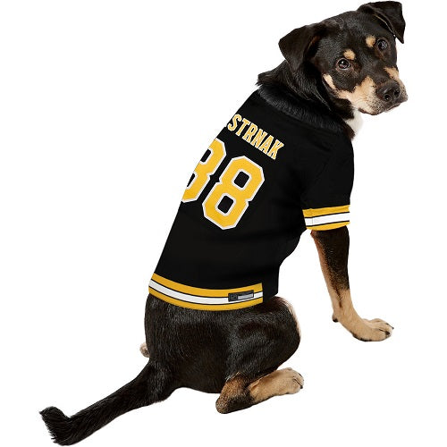 Boston Bruins David Pastrnak 88 Premium Pet Jersey