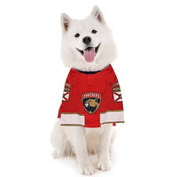 Florida Panthers Matthew Tkachuk 19 Premium Pet Jersey