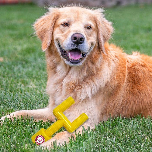 AL Crimson Tide Nylon Goal Post Chew Toy