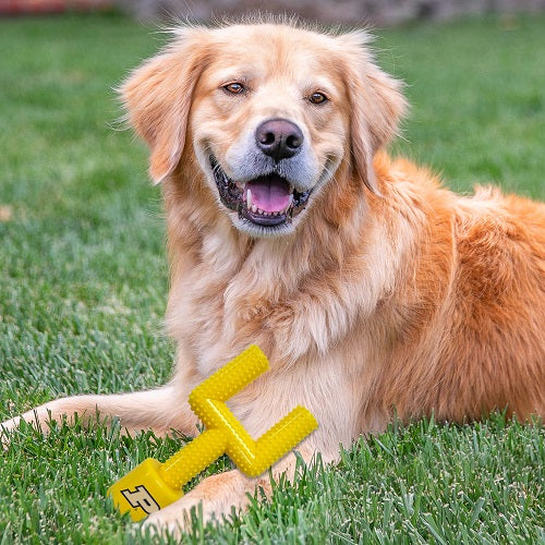 Purdue Boilermakers Nylon Goal Post Chew Toy