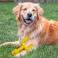 TX Longhorns Nylon Goal Post Chew Toy