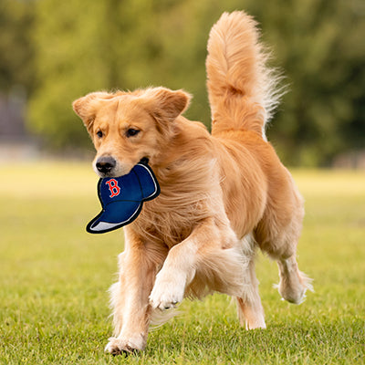 Boston Red Sox Baseball Cap Tough Toys