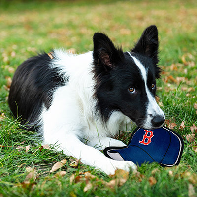 Boston Red Sox Baseball Cap Tough Toys