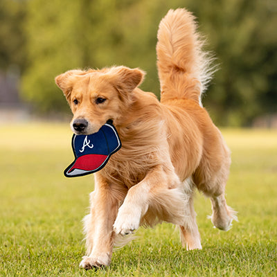 Atlanta Braves Baseball Cap Tough Toys