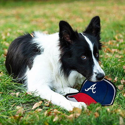 Atlanta Braves Baseball Cap Tough Toys