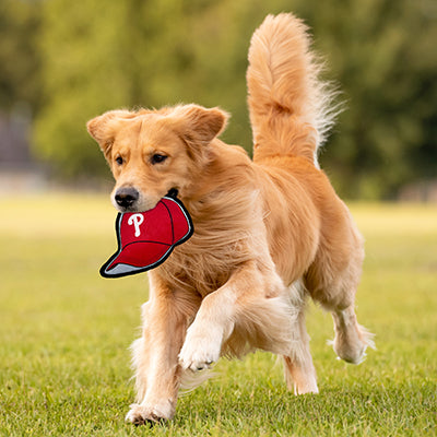 Philadelphia Phillies Baseball Cap Tough Toys