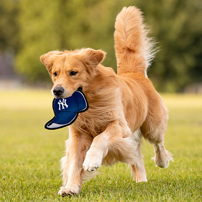 New York Yankees Baseball Cap Tough Toys