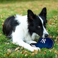 New York Yankees Baseball Cap Tough Toys