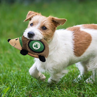 Boston Celtics Hedgehog Plush Toy