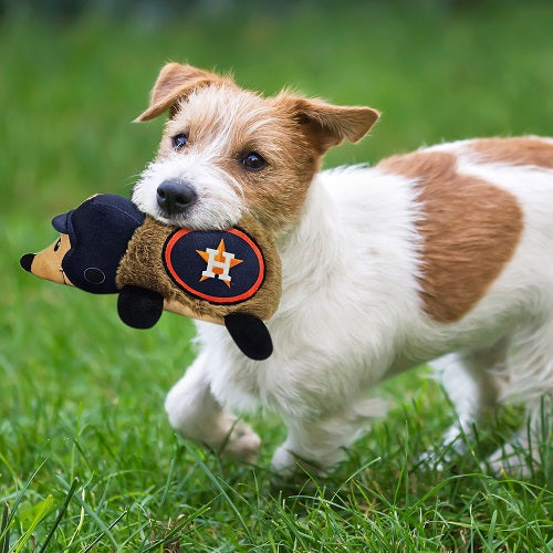 Houston Astros Hedgehog Plush Toy