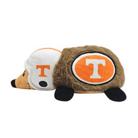 TN Volunteers Hedgehog Plush Toy