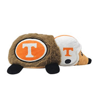 TN Volunteers Hedgehog Plush Toy
