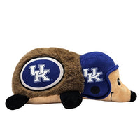 KY Wildcats Hedgehog Plush Toy