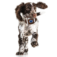 Penn State Nittany Lions Hard Nylon Football Chew Toy