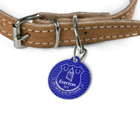 Everton FC 25/26 Home Kit-Inspired Collar Charm