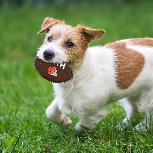 Cleveland Browns Hard Nylon Football Chew Toy