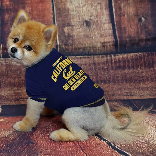 UC Berkeley Golden Bears Athletics Tee Shirt