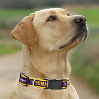 Minnesota Vikings Dog Satin Collar or Leash