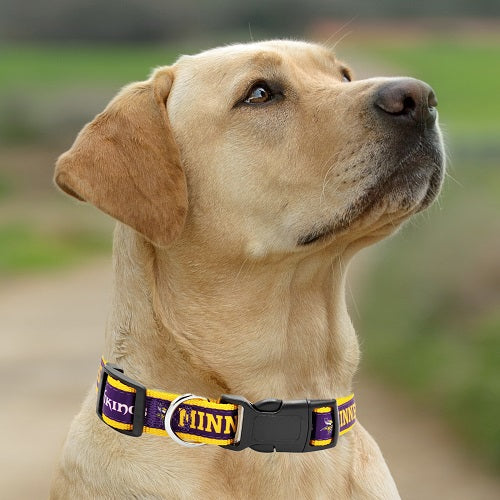 Minnesota Vikings Dog Satin Collar or Leash