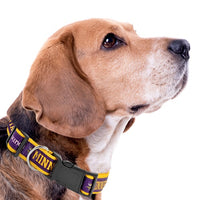Minnesota Vikings Dog Satin Collar or Leash