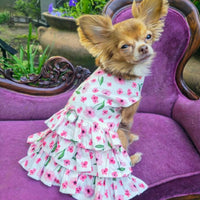 Spring Wildflowers Harness Dress with Leash