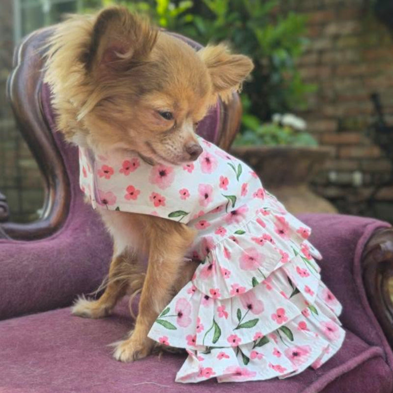 Spring Wildflowers Harness Dress with Leash