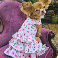 Spring Wildflowers Harness Dress with Leash