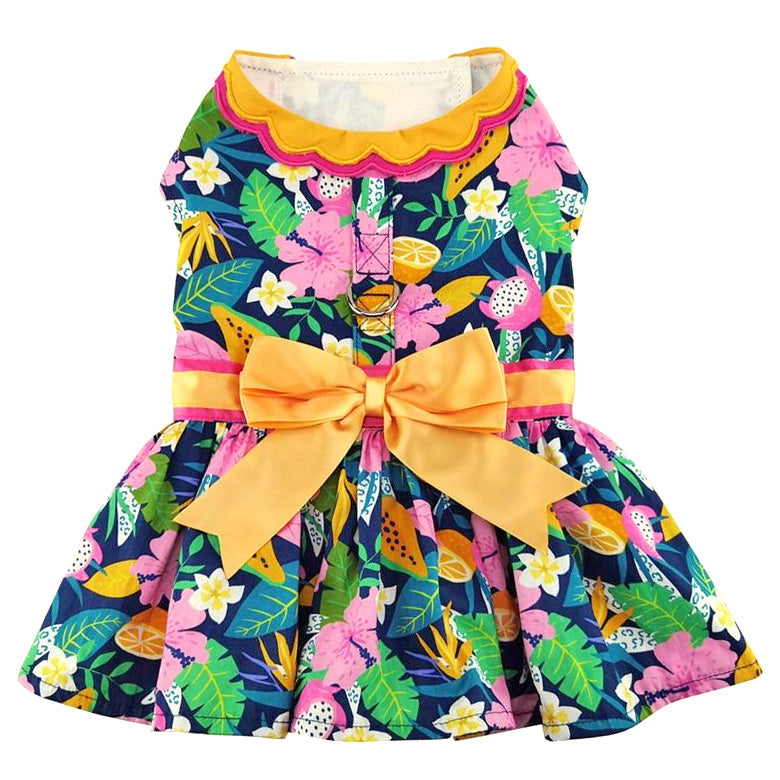 Fiesta Floral Harness Dress with Leash