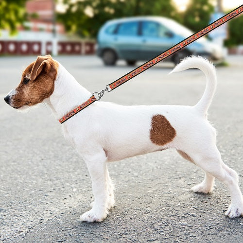 Anaheim Ducks Dog Satin Collar or Leash