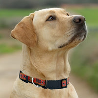 Anaheim Ducks Dog Satin Collar or Leash