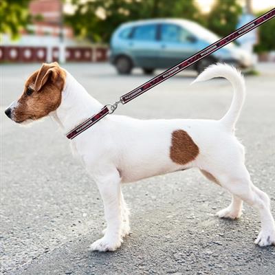 AR Razorbacks Dog Satin Collar or Leash