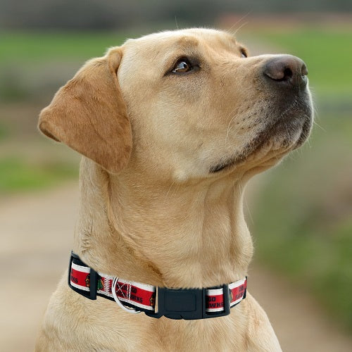 Chicago Blackhawks Dog Satin Collar or Leash