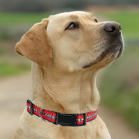 Washington Capitals Dog Satin Collar or Leash