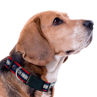 Columbus Blue Jackets Dog Satin Collar or Leash