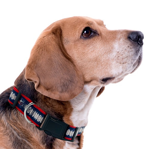Columbus Blue Jackets Dog Satin Collar or Leash