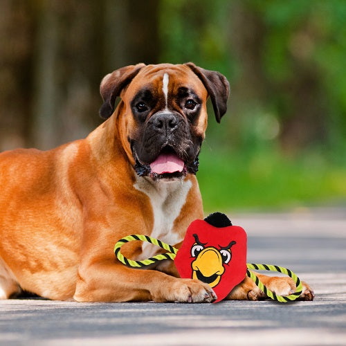 Atlanta Hawks Mascot Rope Toys