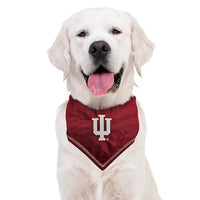 IN Hoosiers Tie-On Bandana