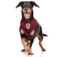 IN Hoosiers Tie-On Bandana
