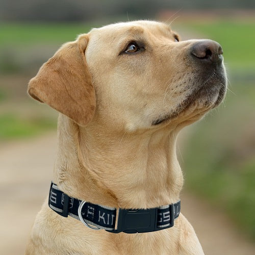 Los Angeles Kings Dog Satin Collar or Leash