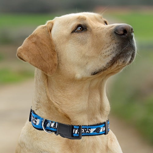 Carolina Panthers Dog Satin Collar or Leash