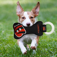 Cincinnati Bengals Dental Tug Toy