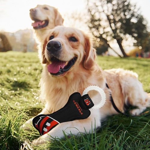 Cincinnati Bengals Dental Tug Toy