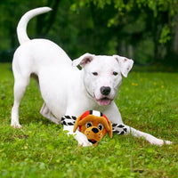 Cleveland Browns Mascot Rope Toys