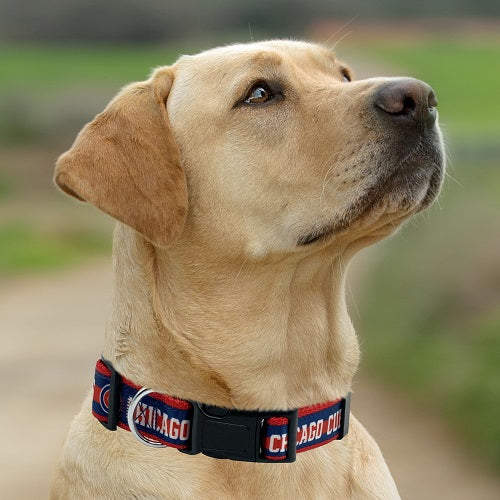 Chicago Cubs Dog Satin Collar or Leash