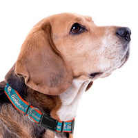 Miami Dolphins Dog Satin Collar or Leash