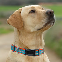 Miami Dolphins Dog Satin Collar or Leash