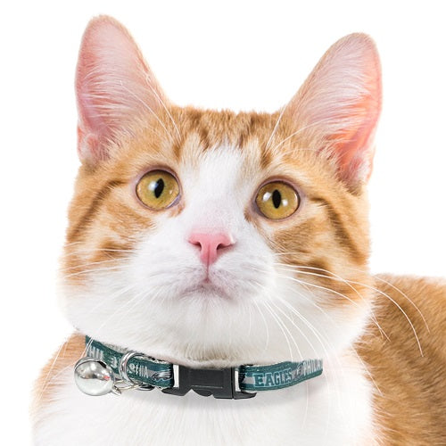 Philadelphia Eagles Cat Satin Collar