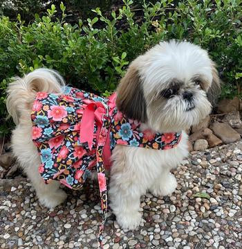 Blooming Blue and Peach Floral Harness Dress with Leash