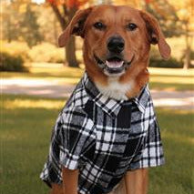 Black and White Plaid Flannel Pet Shirt